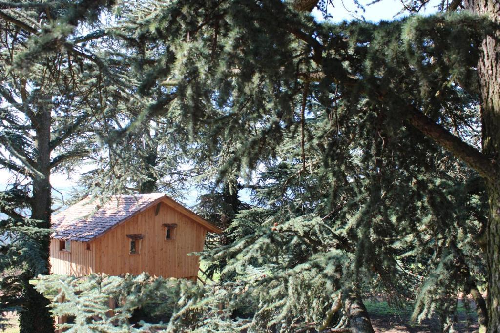 Bed and Breakfast Domaine Des Grands Cedres Cordelle Pokój zdjęcie
